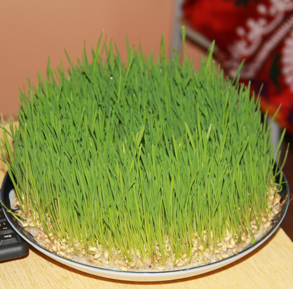 275948186_478647920649593_7931936748159552455_n